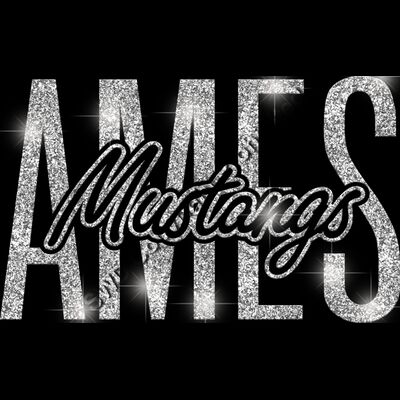 GLT95 SILVER GLITTER Thumbnail