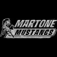 GLT102 SILVER GLITTER Thumbnail