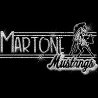 GLT101 SILVER GLITTER Thumbnail