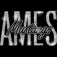 GLT95 SILVER GLITTER Thumbnail