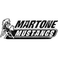 GLT102 BLACK GLITTER Thumbnail